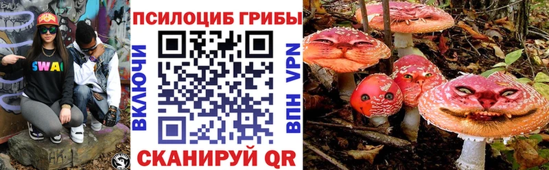 Купить закладки  Бугульма  Псилоцибиновые грибы прущие грибы 